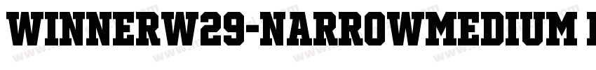 WinnerW29-NarrowMedium Regular字体转换